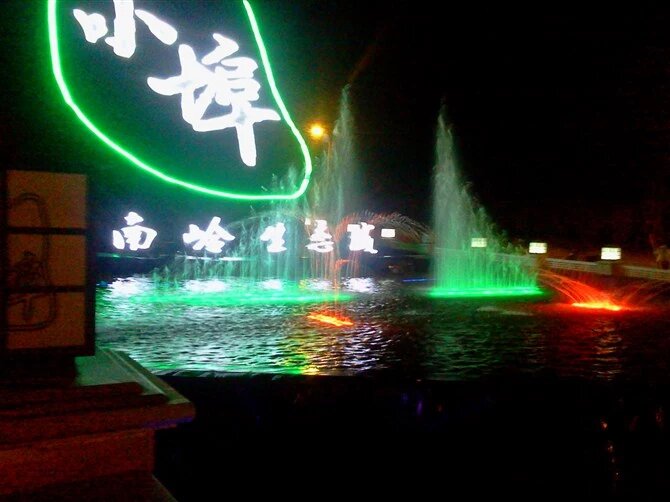 郴州小埠南岭生态园音乐喷泉(图4)