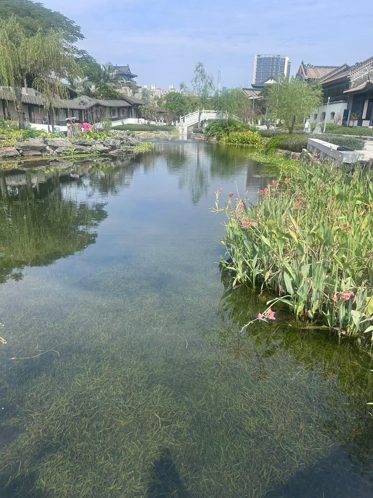 水生态治理