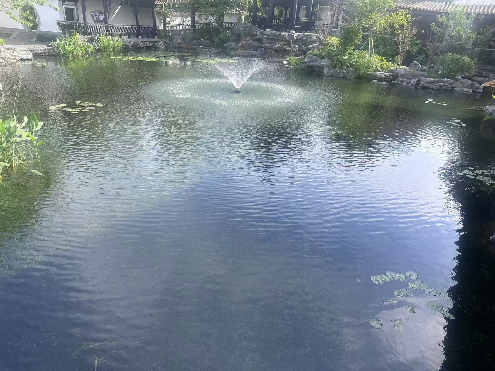 水生态治理